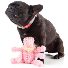 15% OFF: FuzzYard Scratchette The Flea Plush Dog Toy