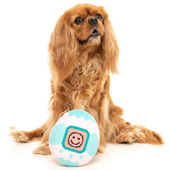 15% OFF: FuzzYard Tamadogchi Plush Dog Toy