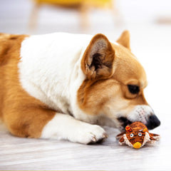 GiGwi Plush Friendz Dog Toy (Racoon)