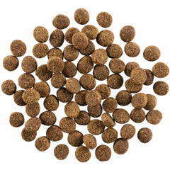 Go! Solutions Skin + Coat Lamb Recipe Dry Dog Food 3.5lb