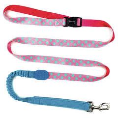 HiDREAM Profusion Multifunctional Dog Leash (Bobby)