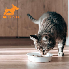 $10 OFF 24 cans: Aixia Kuro-Can Mini Tuna & Skipjack Tuna Canned Cat Food 80g x 24