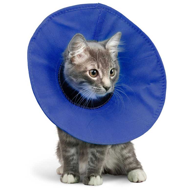KONG Ez Soft Collar Small