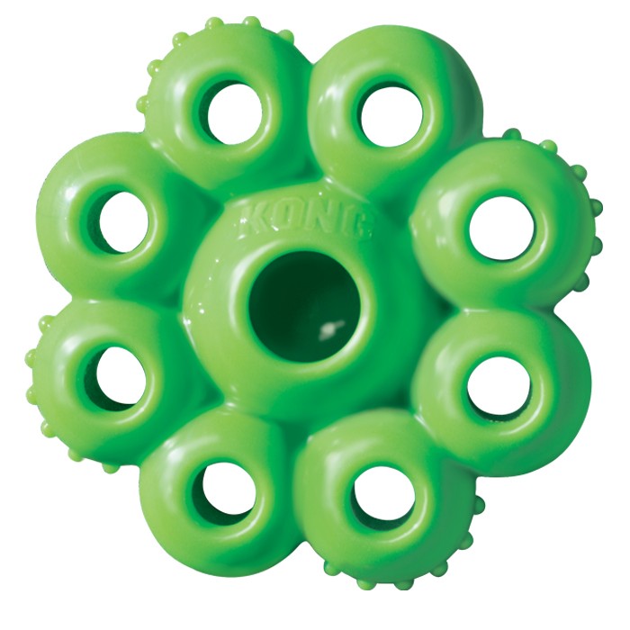 KONG Quest Starpod Treat Dispensing Dog Toy