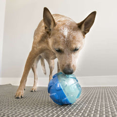 KONG Rewards Ball Treat Dispensing Dog Toy