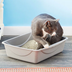 Petmate Litter Pan
