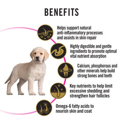 Pro Plan Sensitive Skin & Stomach Salmon & Mackerel Puppy Dry Dog Food