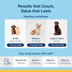 ProDen PlaqueOff Powder Dental Care Dog Supplement