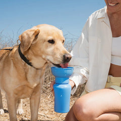 Springer Flip Dog Travel Water Bottle 590ml (Black)