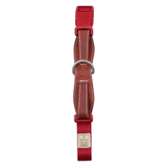 Sputnik Nylon Dog Collar (Red)