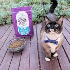 Stella & Chewy‚Äö√Ñ√¥s Freeze-Dried Raw Coated Kibble Salmon Grain-Free Dry Cat Food