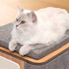 Vesper Cubo Cat Cube