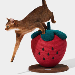 VETRESKA Strawberry Cat Scratching Ball