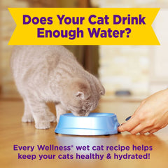 $1 OFF: Wellness Appetizing Entrees Flaked Tuna, Mackerel & Shrimp Adult Pouch Cat Food 1.4oz