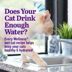 $1 OFF: Wellness Appetizing Entrees Flaked Tuna Adult Pouch Cat Food 1.4oz