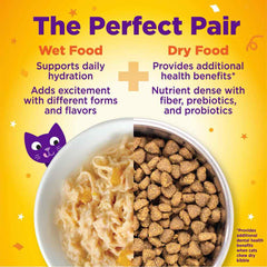 Wellness Appetizing Entrees Shredded Chicken Adult Pouch Cat Food 1.4oz