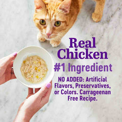 Wellness Appetizing Entrees Shredded Chicken & Salmon Adult Pouch Cat Food 1.4oz