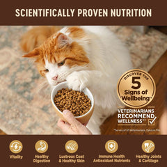 $15 OFF 5lb (Exp 21Mar26): Wellness CORE Adult Turkey, Turkey Meal & Duck Grain-Free Dry Cat Food
