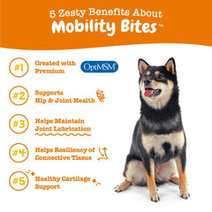 Zesty Paws Hip & Joint Mobility Bites Bacon Flavor Dog Supplement Chews 90ct
