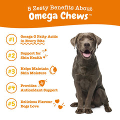 Zesty Paws Omega Bites Chicken Flavor Dog Supplement Chews 90ct