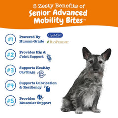 Zesty Paws Senior Advanced Mobility Bites Chicken Flavor Dog Supplement Chews 90ct