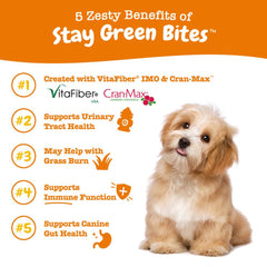 Zesty Paws Stay Green Bites Chicken Flavor Dog Supplement Chews 90ct